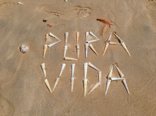 what-does-pura-vida-mean-samba-to-the-sea-samba-to-the-sea