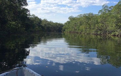 Tamarindo Tuesday: Estuary Tour