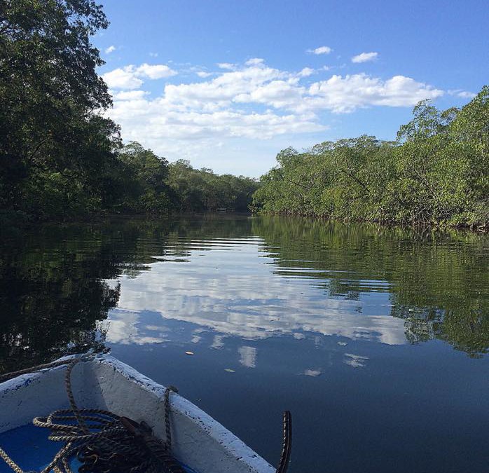 Tamarindo Tuesday: Estuary Tour