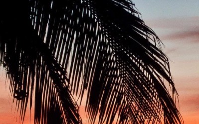 TGIF: Tamarindo Costa Rica Sunset Roundup