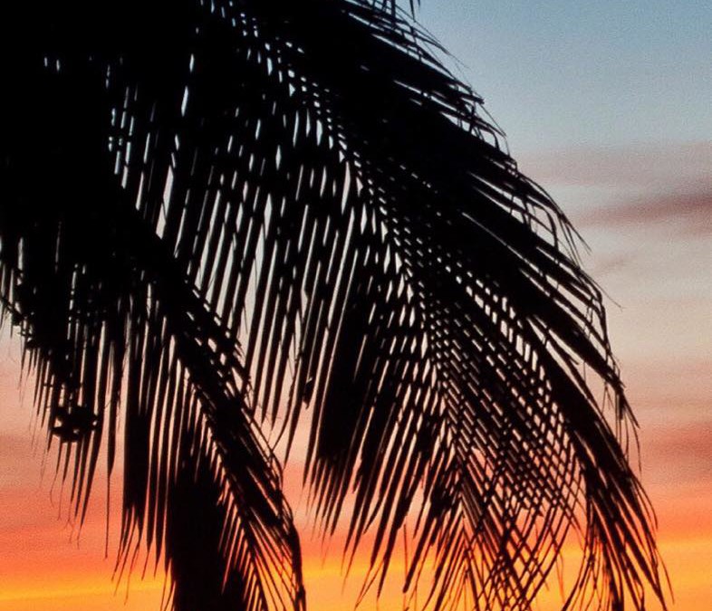TGIF: Tamarindo Costa Rica Sunset Roundup
