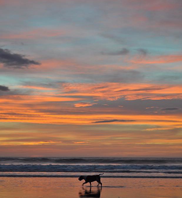 TGIF – Tamarindo Beach Sunsets – September 11