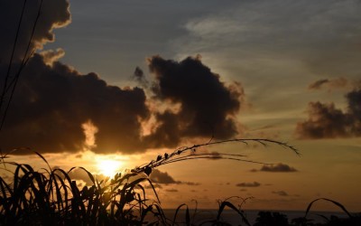 TGIF – Sunsets Miami – October 2