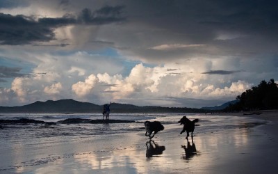 Sunsets from Paradise – Playa Tamarindo, Costa Rica – November 13