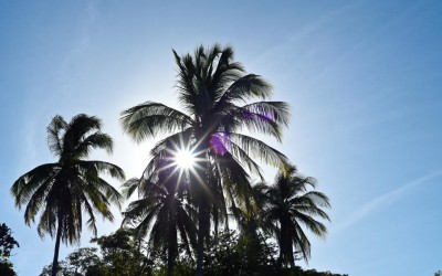 Sunsets from Paradise – Playa Tamarindo, Costa Rica – December 25