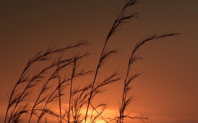 Sunset in Tamarindo, Guanacaste, Costa Rica – January 15