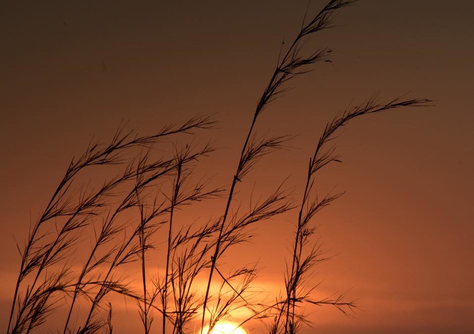 Sunset in Tamarindo, Guanacaste, Costa Rica – January 15