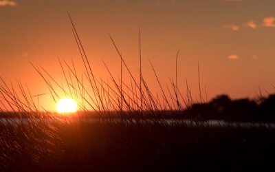 Sunset in Savannah Georgia – January 7