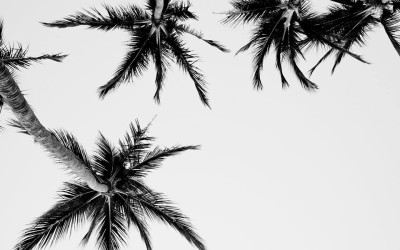 Tamarindo, Costa Rica Sunsets – April 15