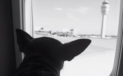 Sunset in Savannah, Georgia – April 1