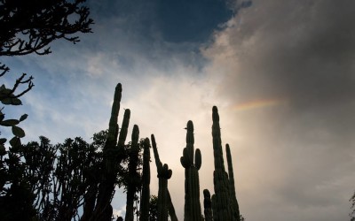 Costa Rican Sunsets- June 3rd