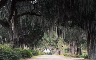 Beautiful Sunsets in Savannah Georgia – July 8