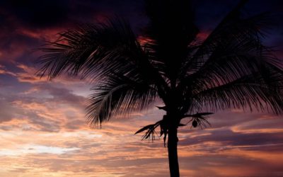 Welcome Back to Tamarindo Sunset July 15th